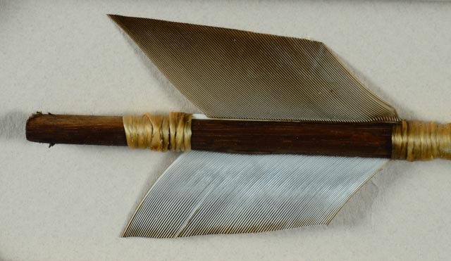 Bev Doolittle "The Forest Has Eyes" Lithograph and Arrow