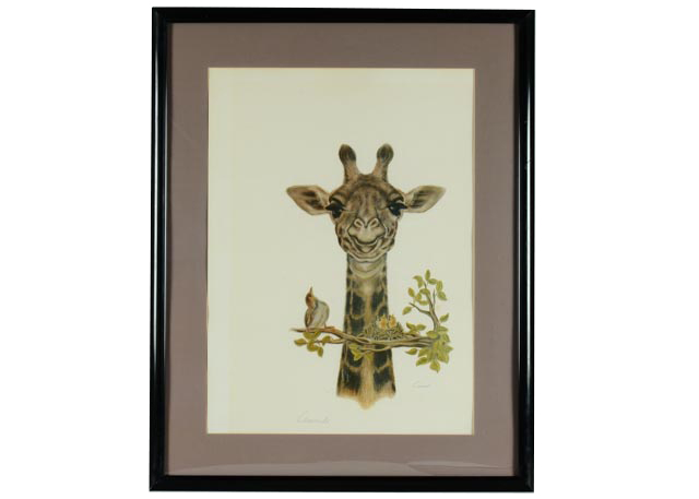 Photo Offset Lithograph by Cinardo