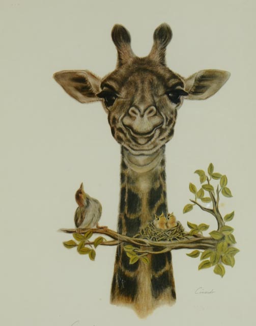 Photo Offset Lithograph by Cinardo