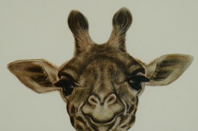 Photo Offset Lithograph by Cinardo