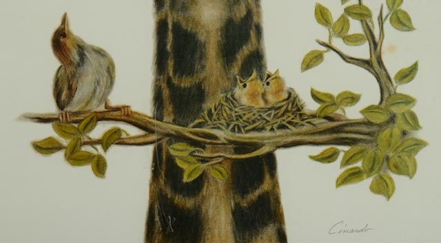 Photo Offset Lithograph by Cinardo