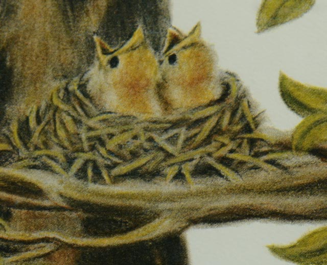 Photo Offset Lithograph by Cinardo