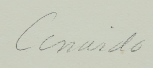 Photo Offset Lithograph by Cinardo