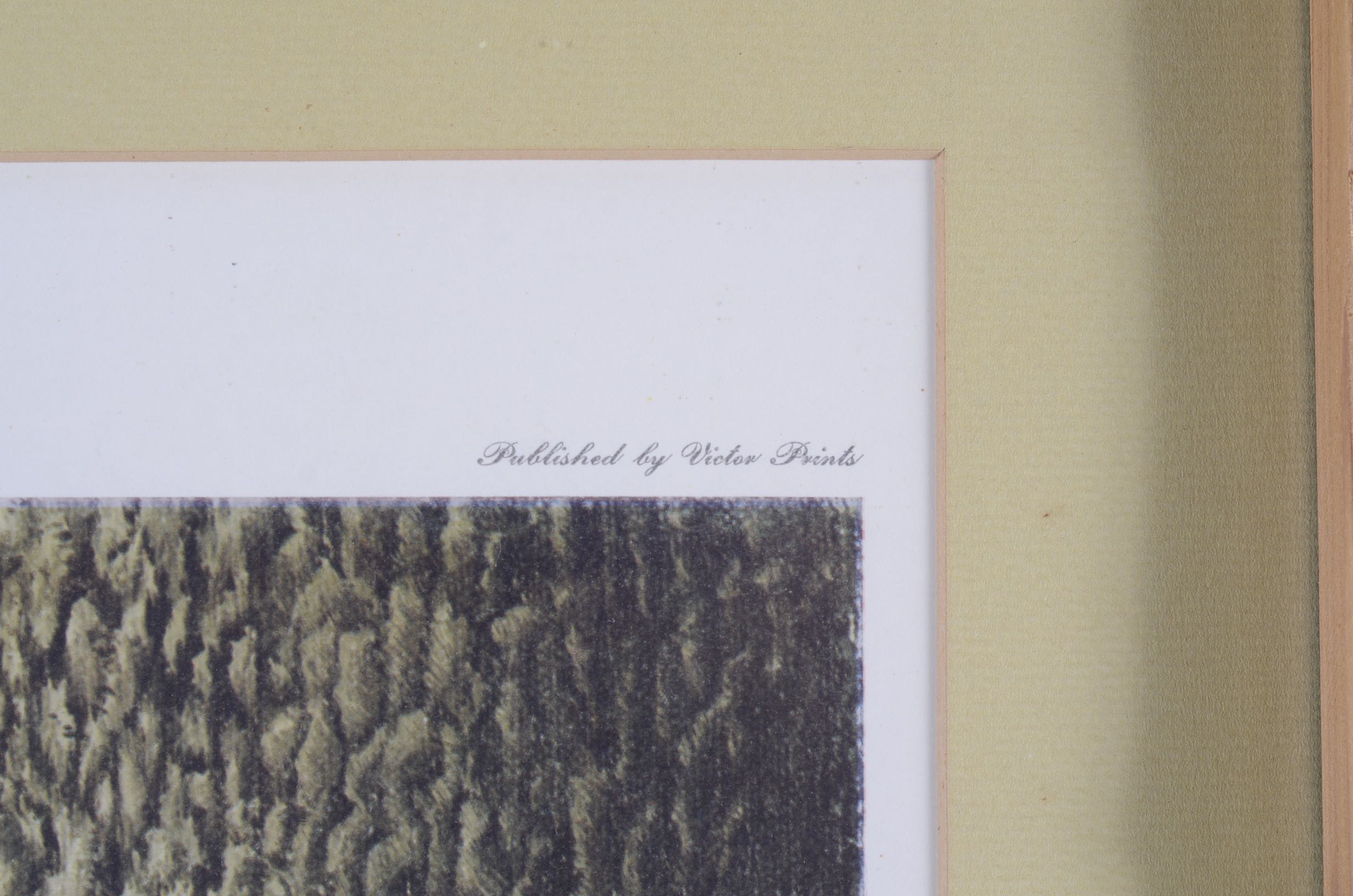 Signed Print "The Sympathizer" by Petro