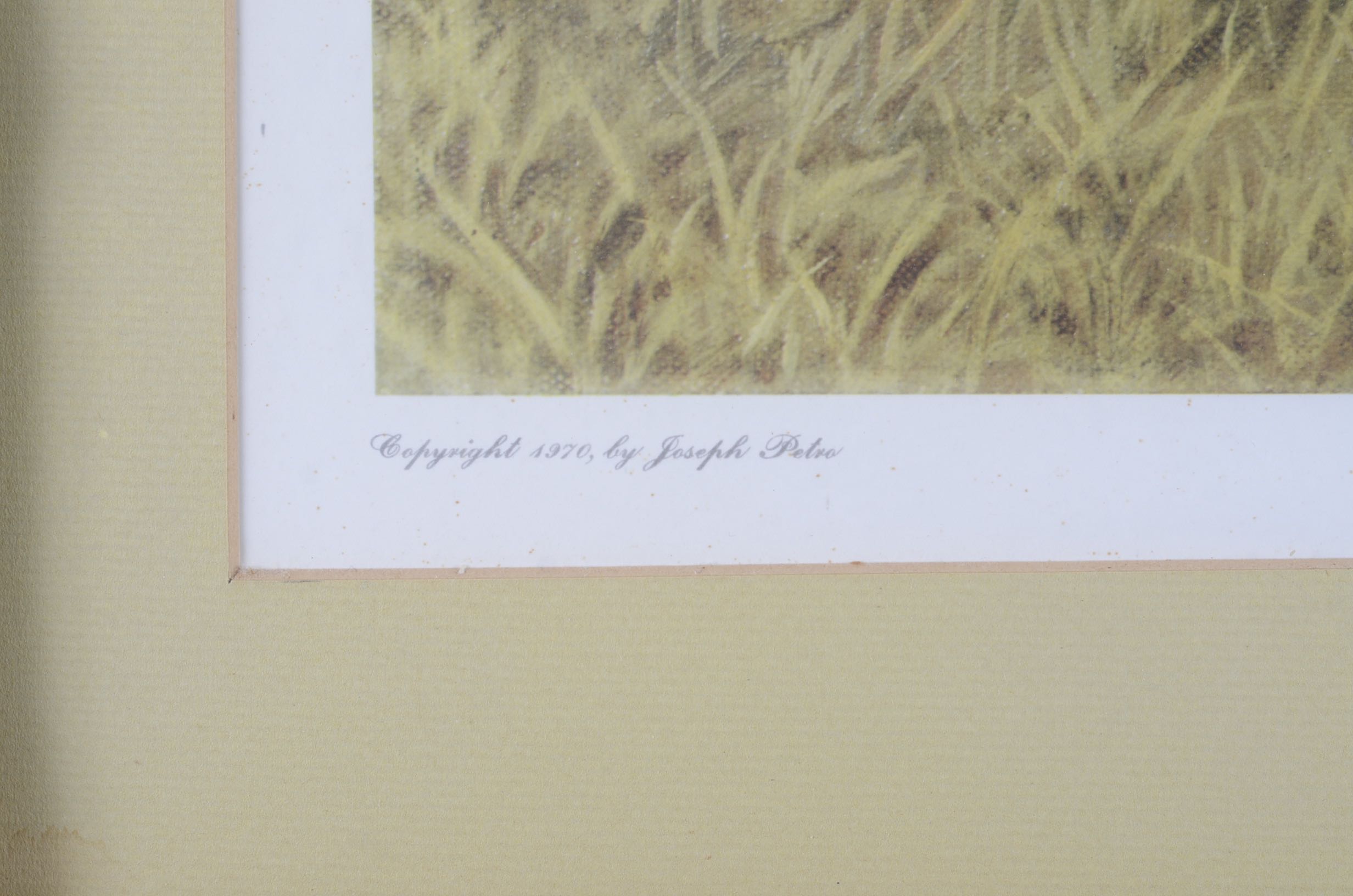 Signed Print "The Sympathizer" by Petro