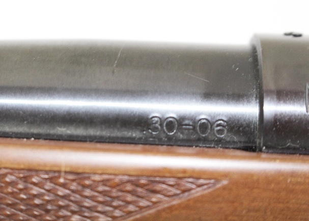 Smith & Wesson Model 1500 30/06