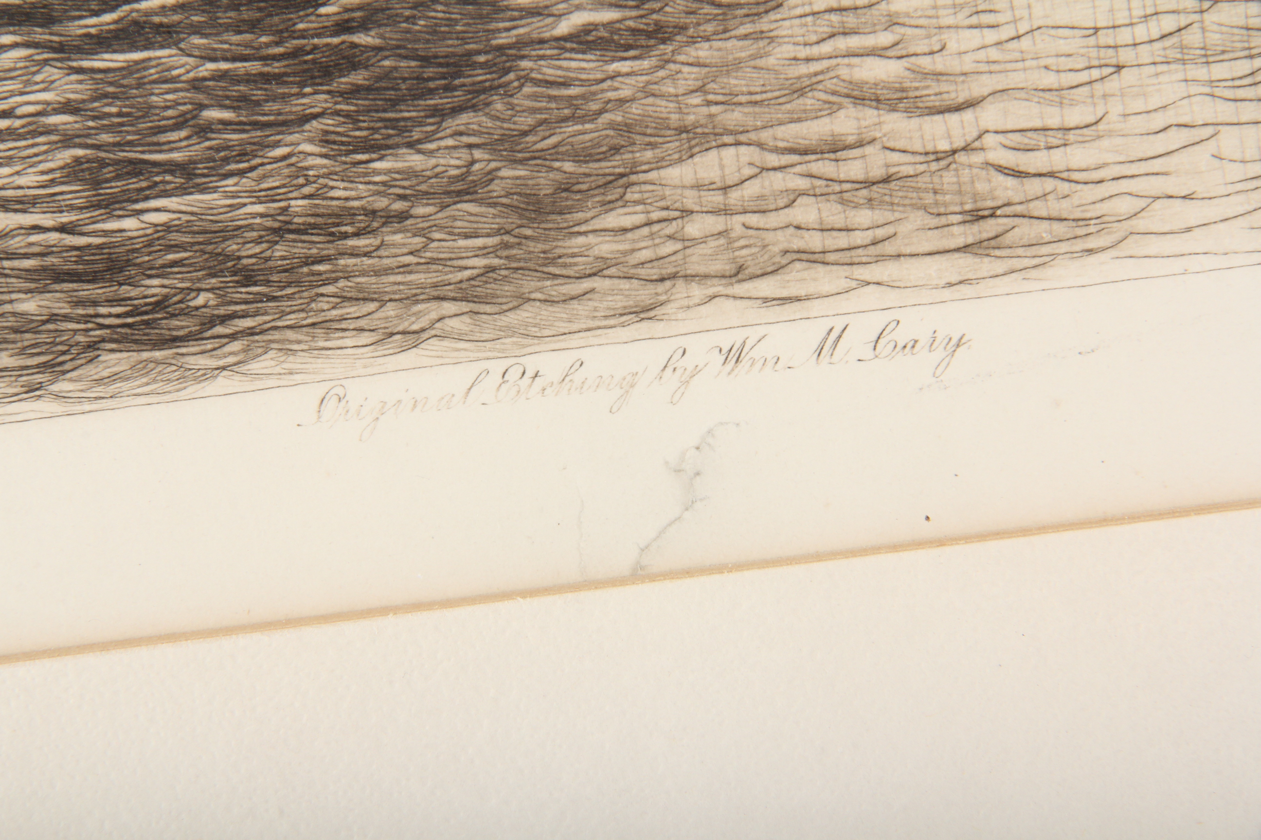 William M. Cary Etching, "The Enthusiast", 1891