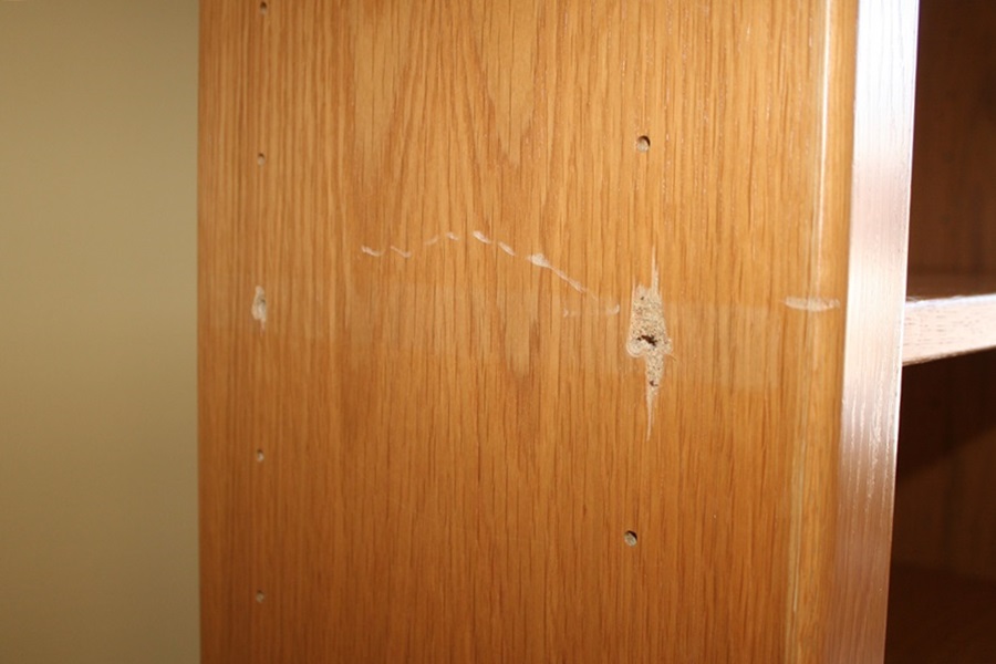 Laerkereden Wall Bookshelf with Rolling Library Ladder