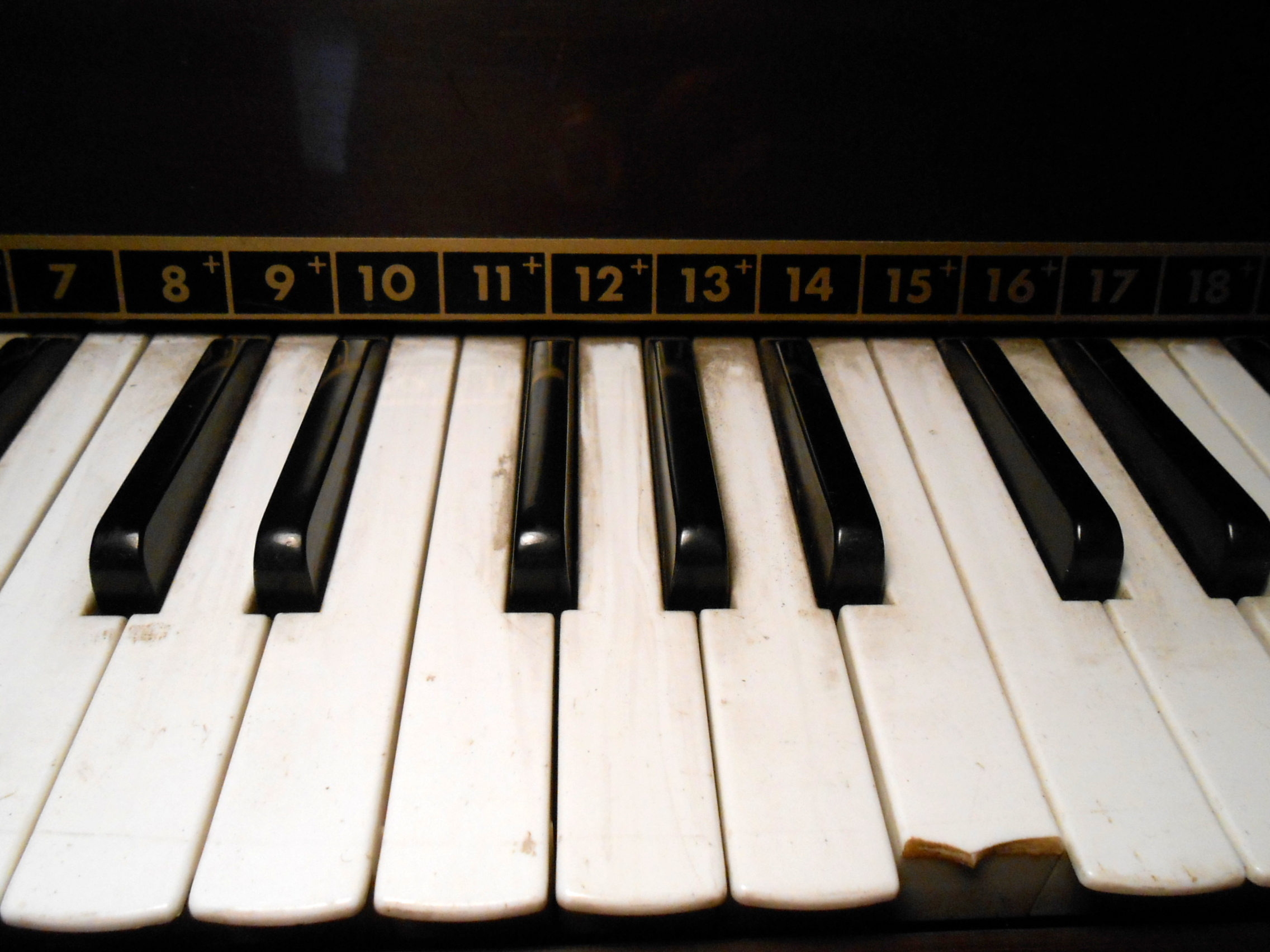 Mid-Century Magnus Electric Chord Organ