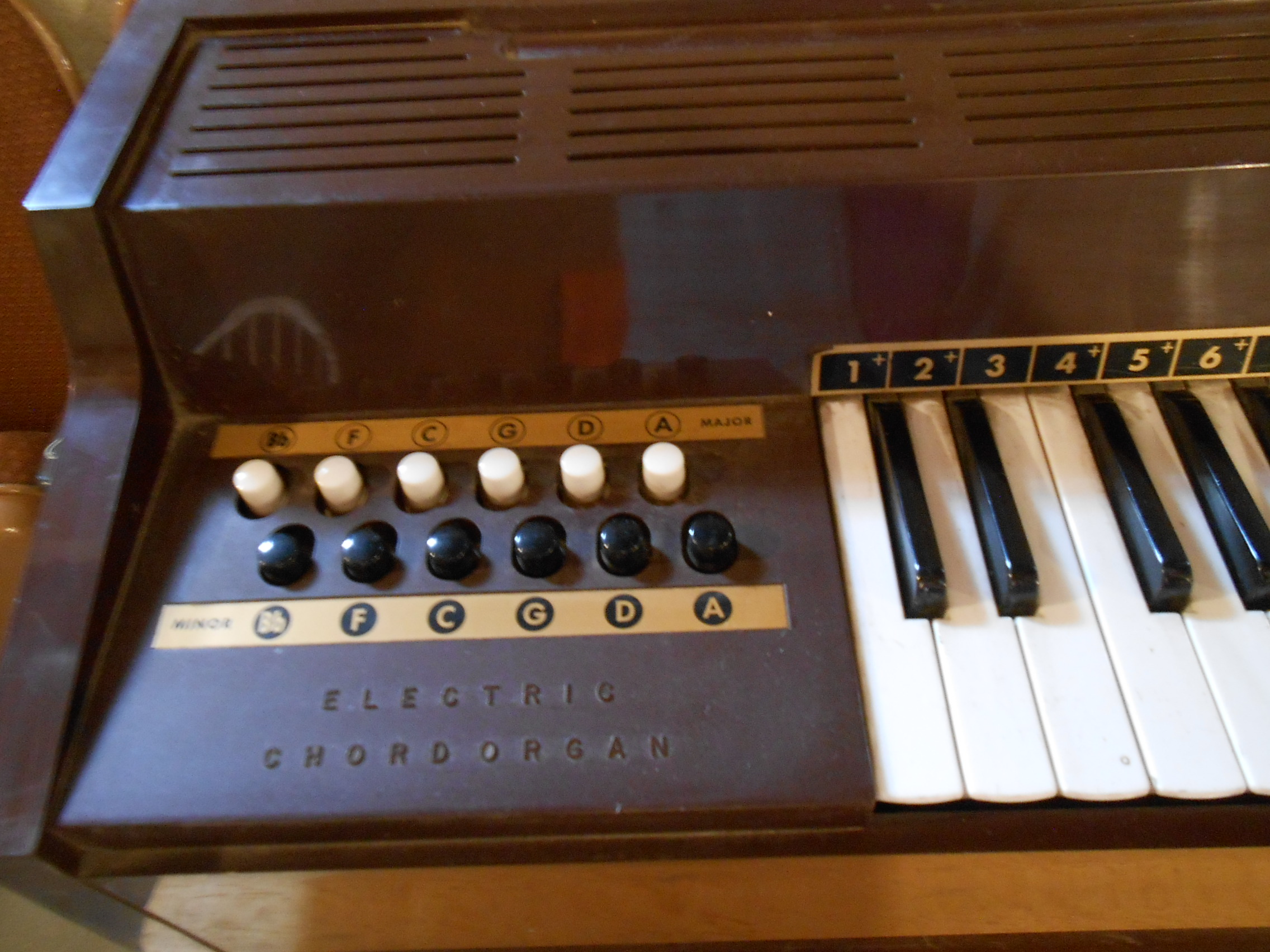 Mid-Century Magnus Electric Chord Organ