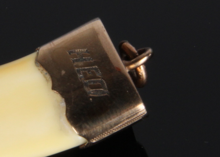 Vintage Shriner Tiger Claw Pendant