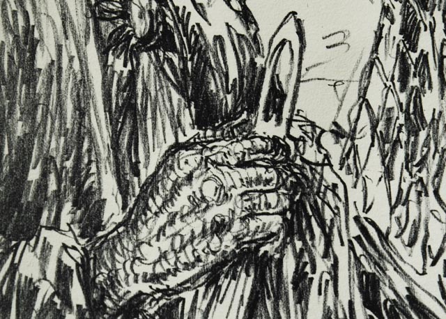 Original Ashbrook Stone Lithograph