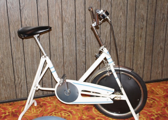 MCA Sports Exercise Bicycle and Balance Ball