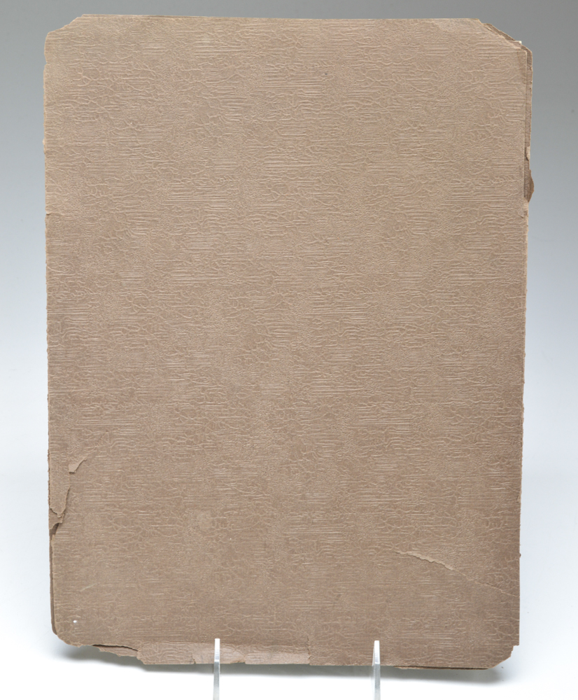 Original Signed Nancy Ford Cones Photograph