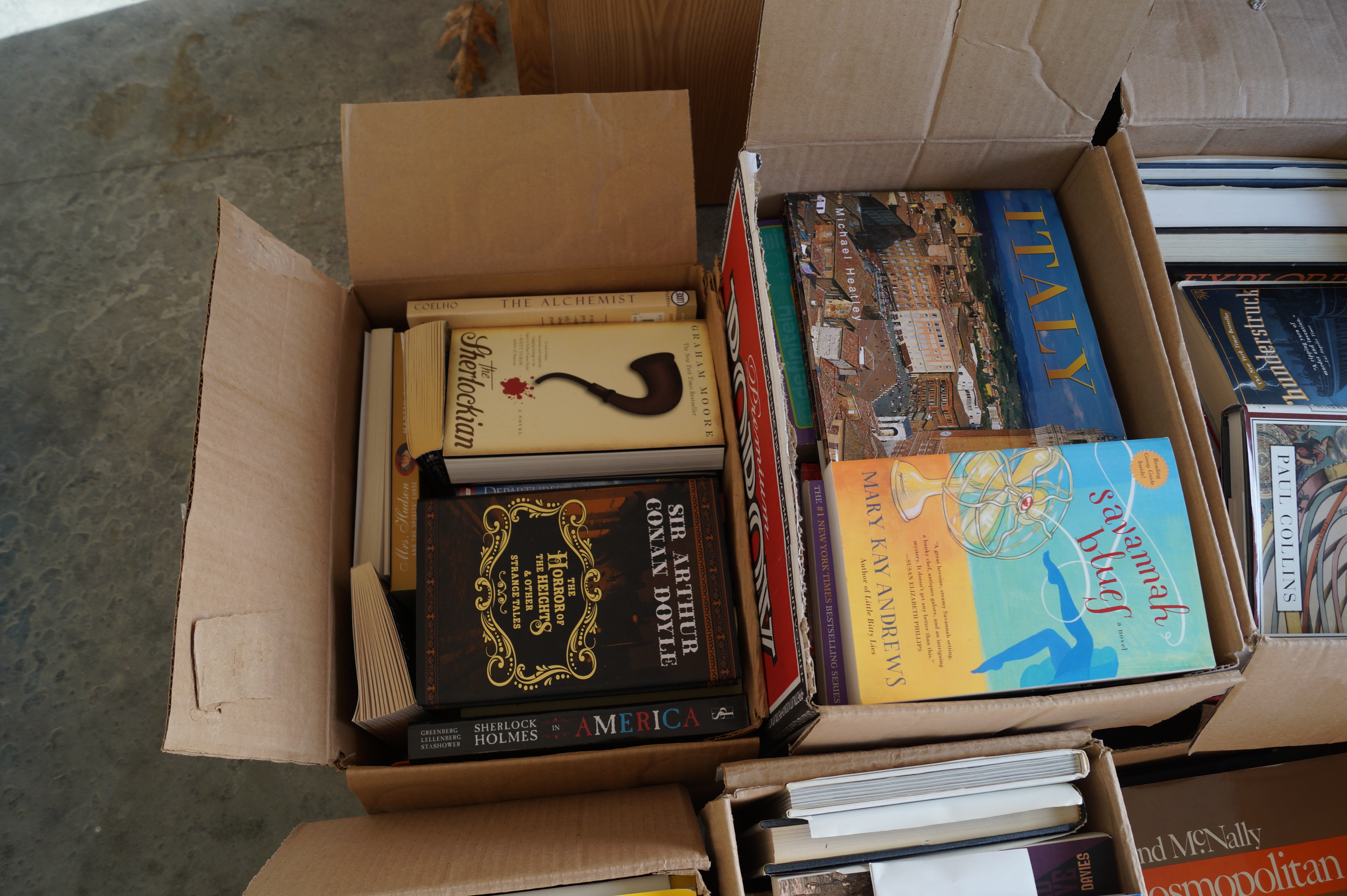 Massive Book Collection