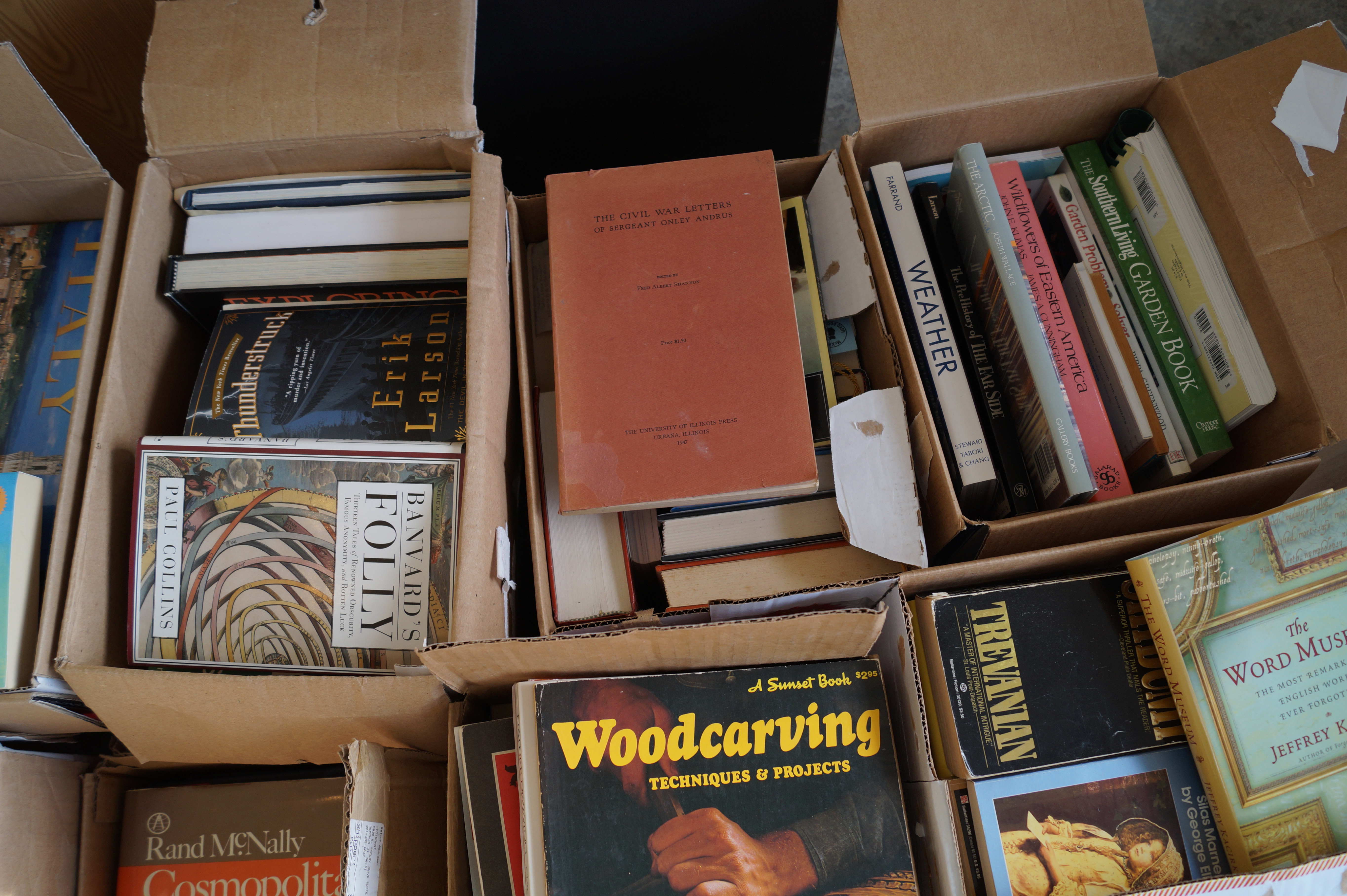 Massive Book Collection