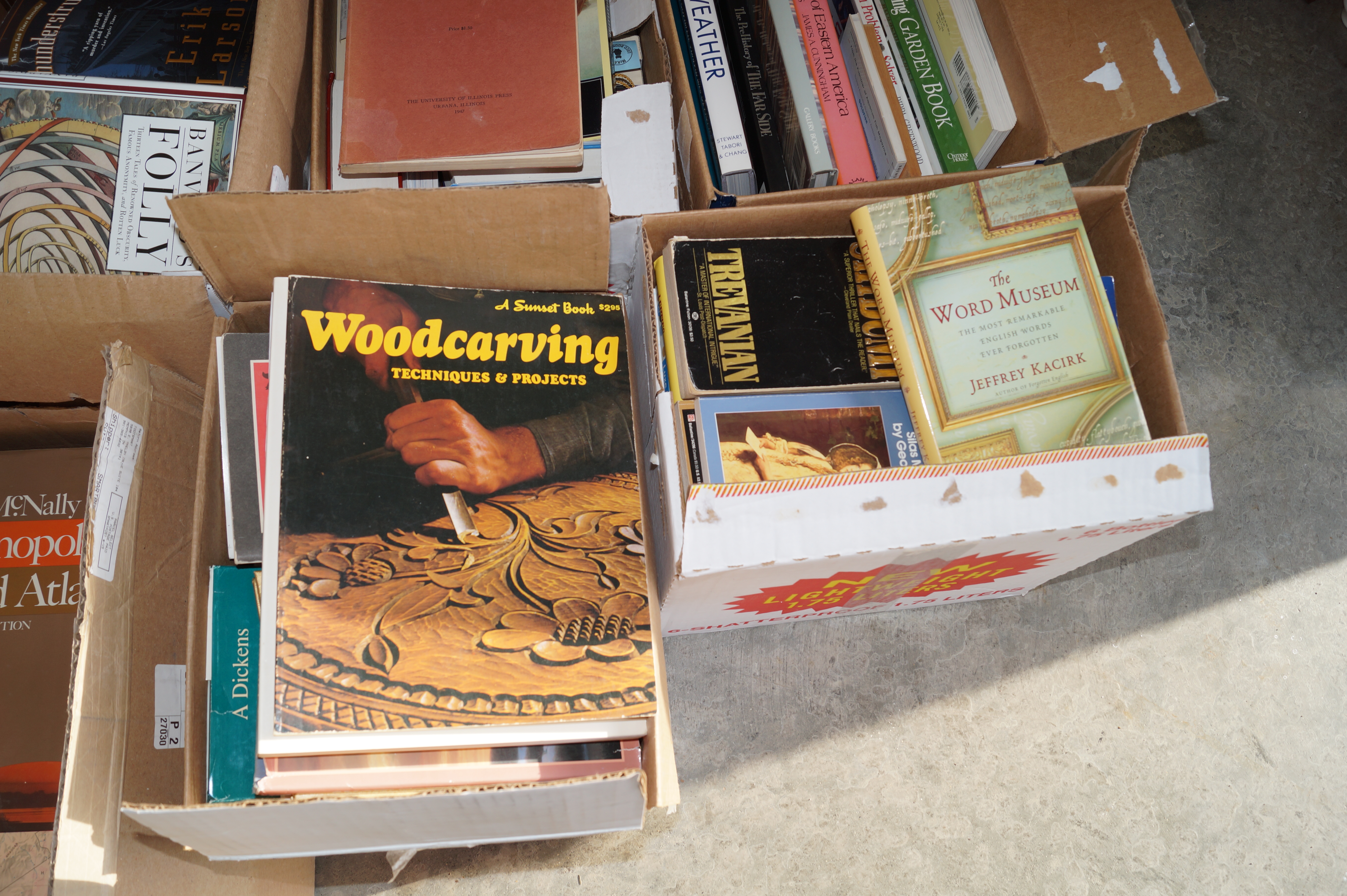 Massive Book Collection