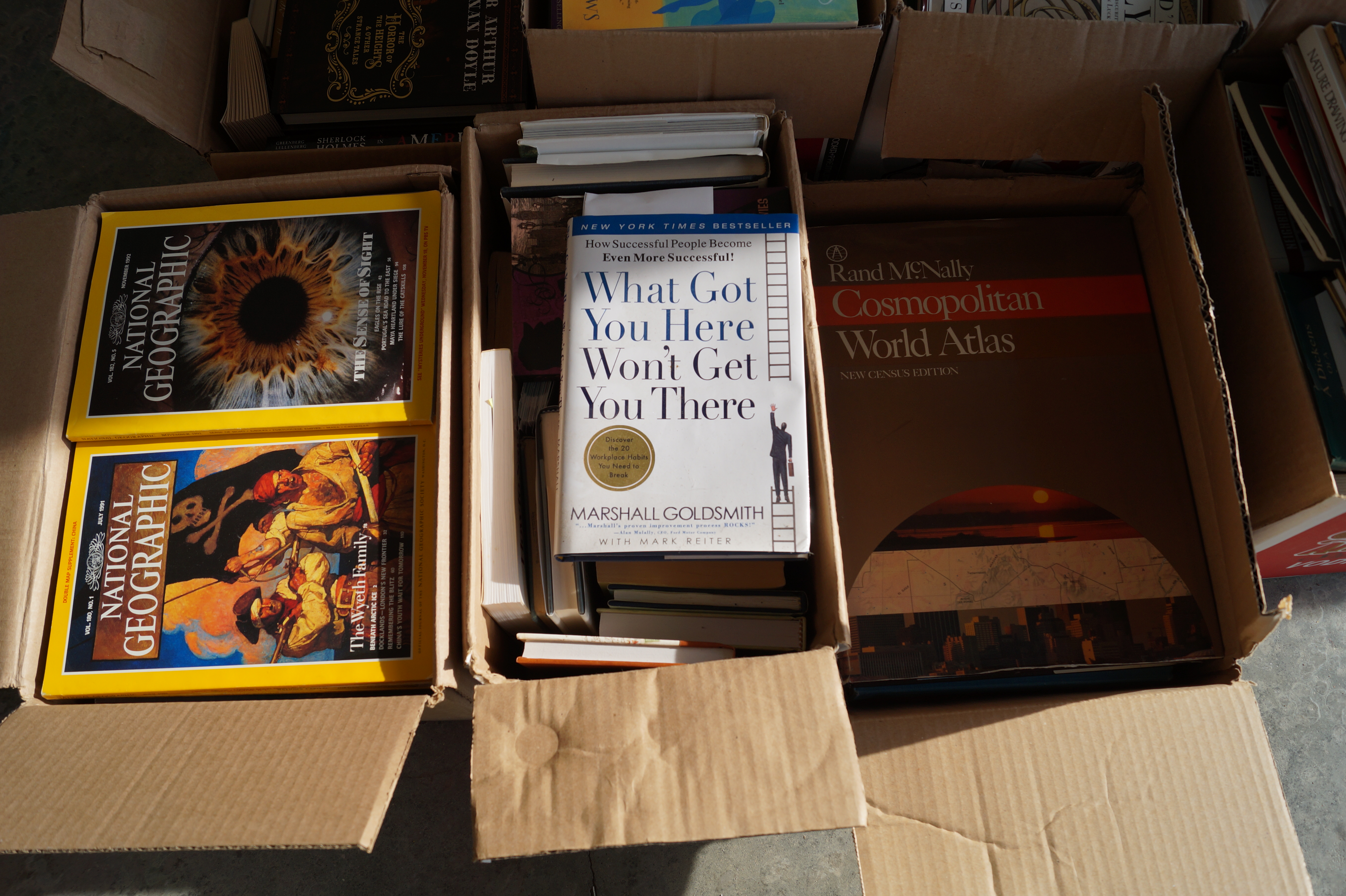 Massive Book Collection