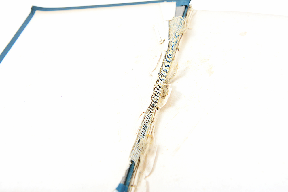 Charles Dickens Book Collection