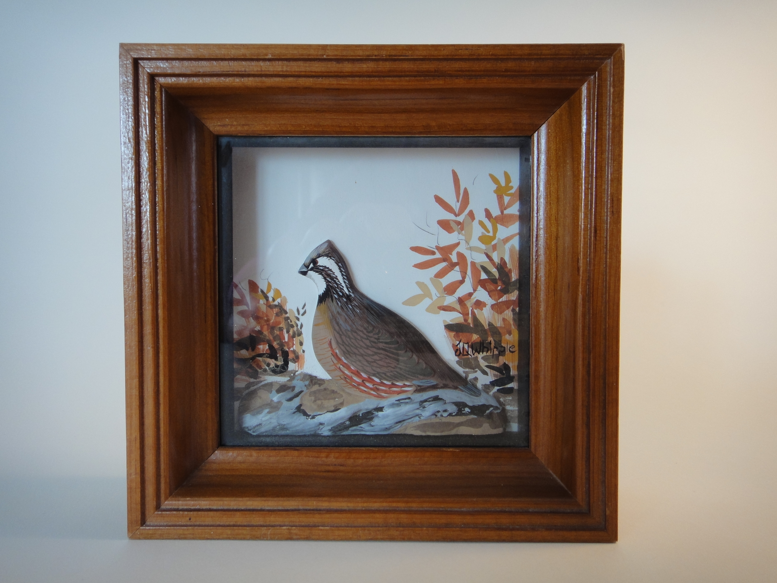 Joseph Q Whipple Signed Quail Shadowbox Diorama