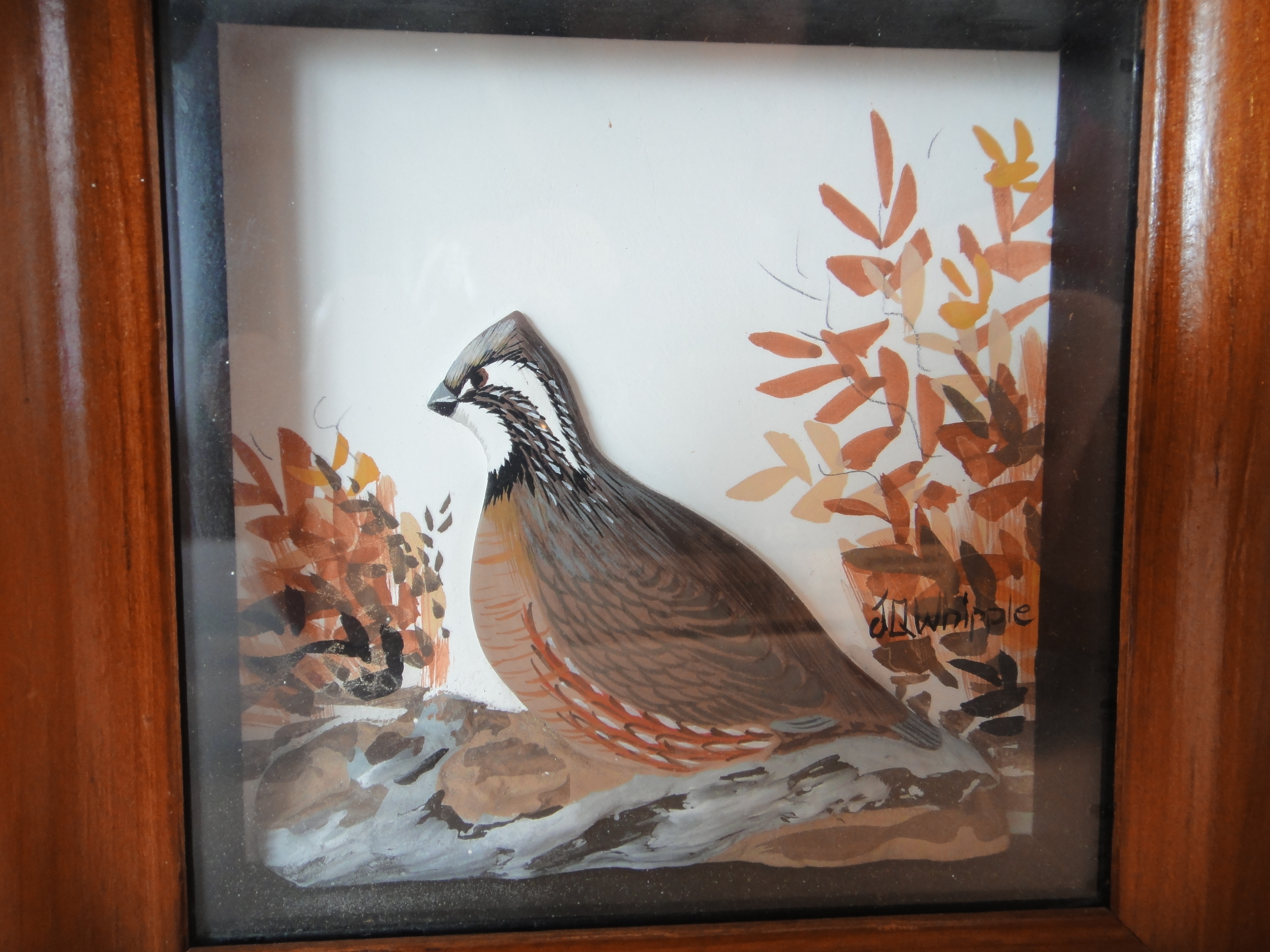 Joseph Q Whipple Signed Quail Shadowbox Diorama