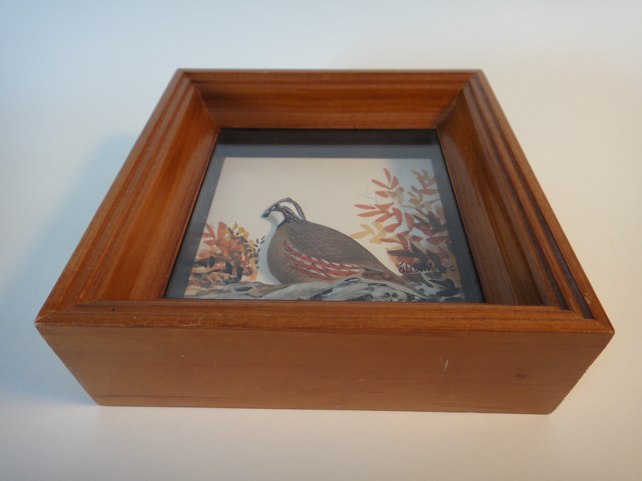 Joseph Q Whipple Signed Quail Shadowbox Diorama