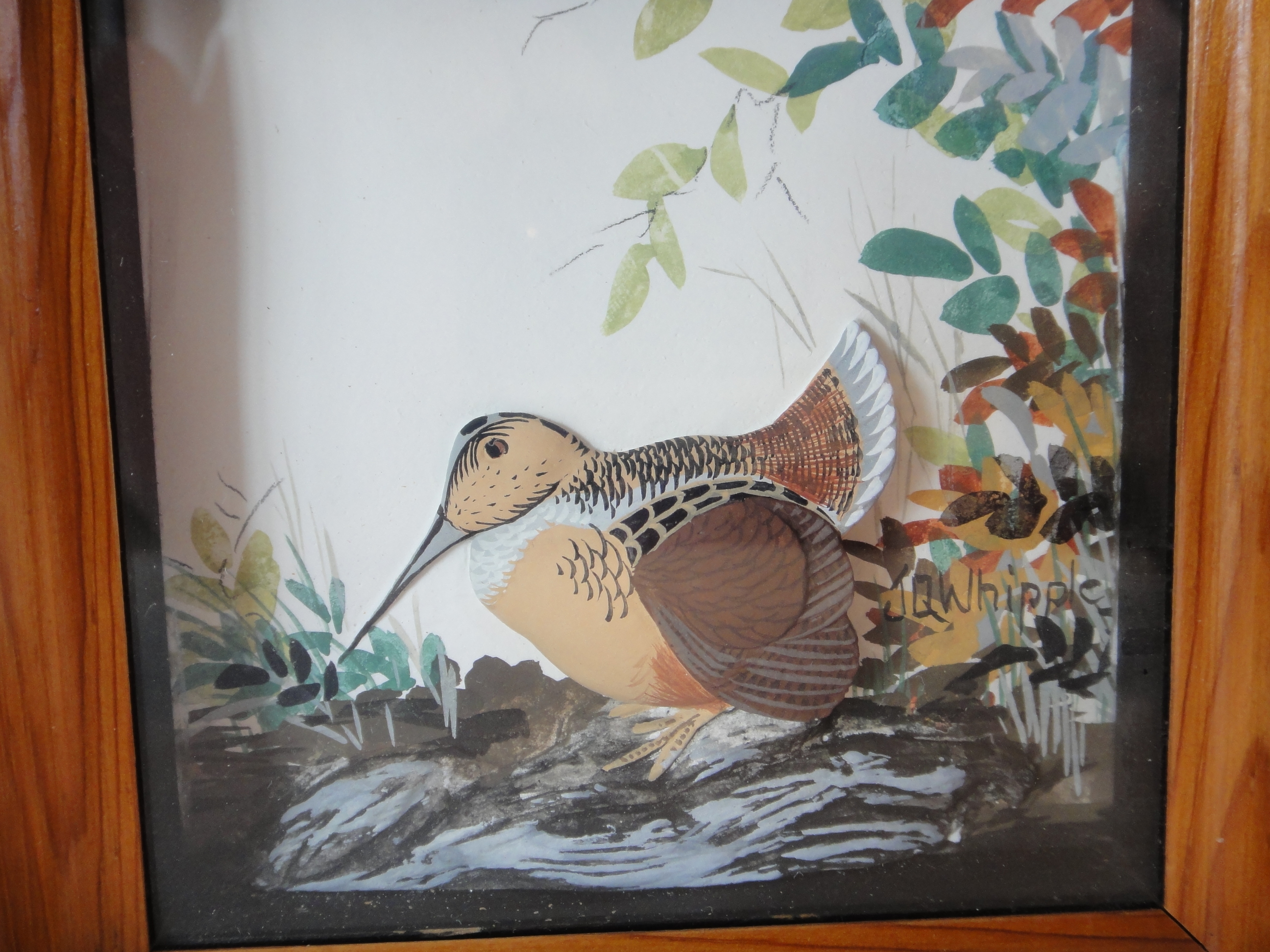 Joseph Q Whipple Signed Woodcock Shadowbox Diorama