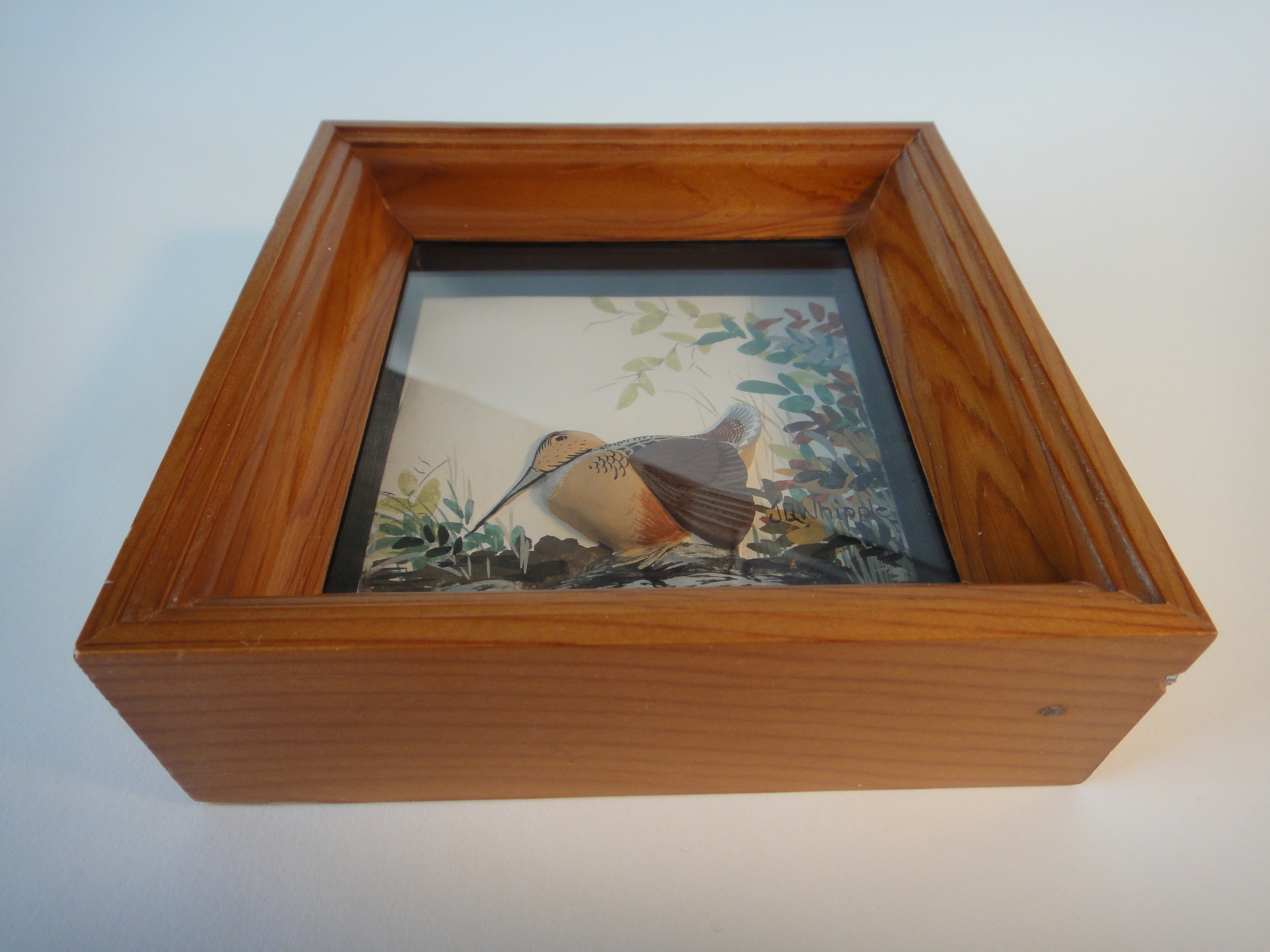 Joseph Q Whipple Signed Woodcock Shadowbox Diorama