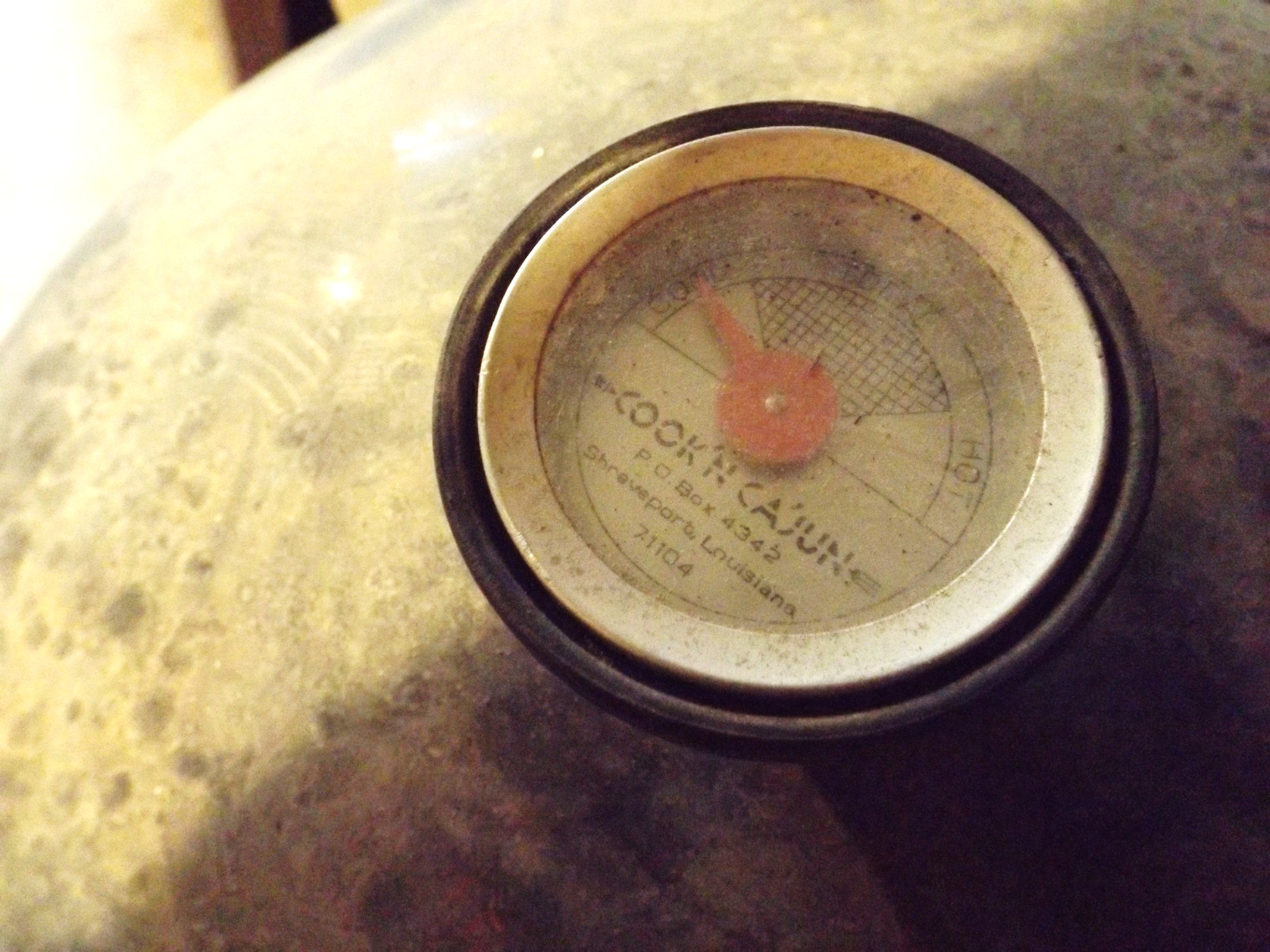 Cook 'n Cajun Smoker and Grill