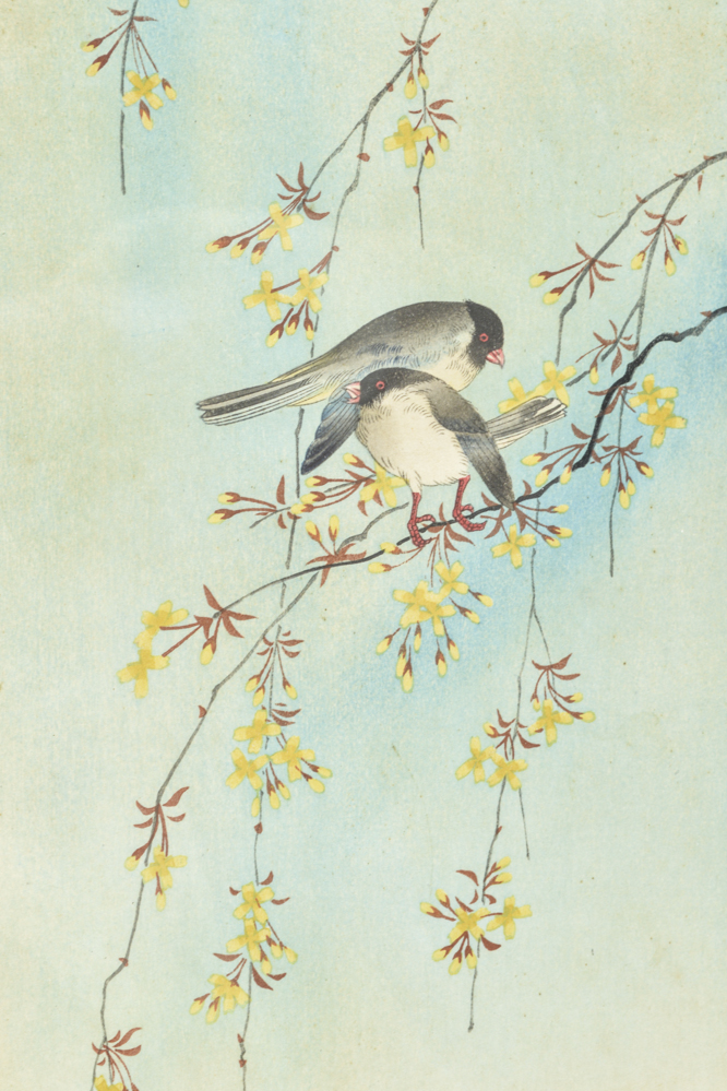 "Two Birds on Yellow Blossom Branches" Imao Keinen Woodcut