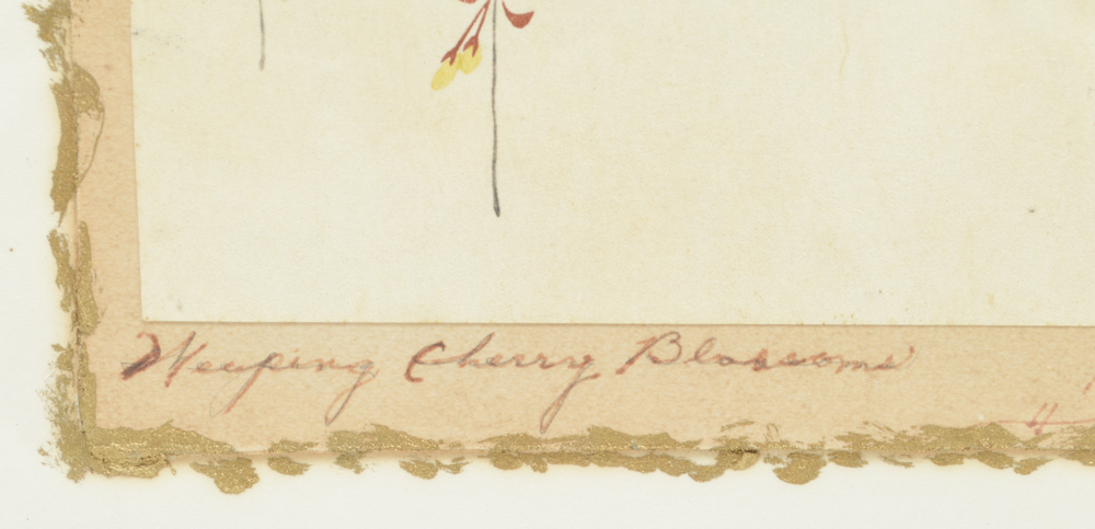 "Two Birds on Yellow Blossom Branches" Imao Keinen Woodcut