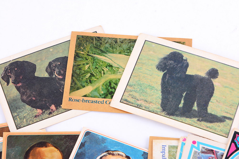 Vintage Pop Culture Collectable Cards