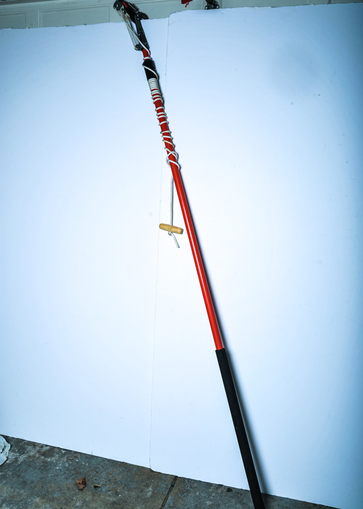 ECHO CS 306 Chainsaw and an Extension Pole Branch Trimmer