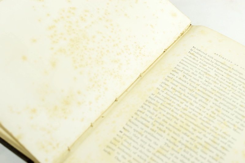 Four Volumes by J. Stephens "Incidents of Travel" Pub. 1848, 1867