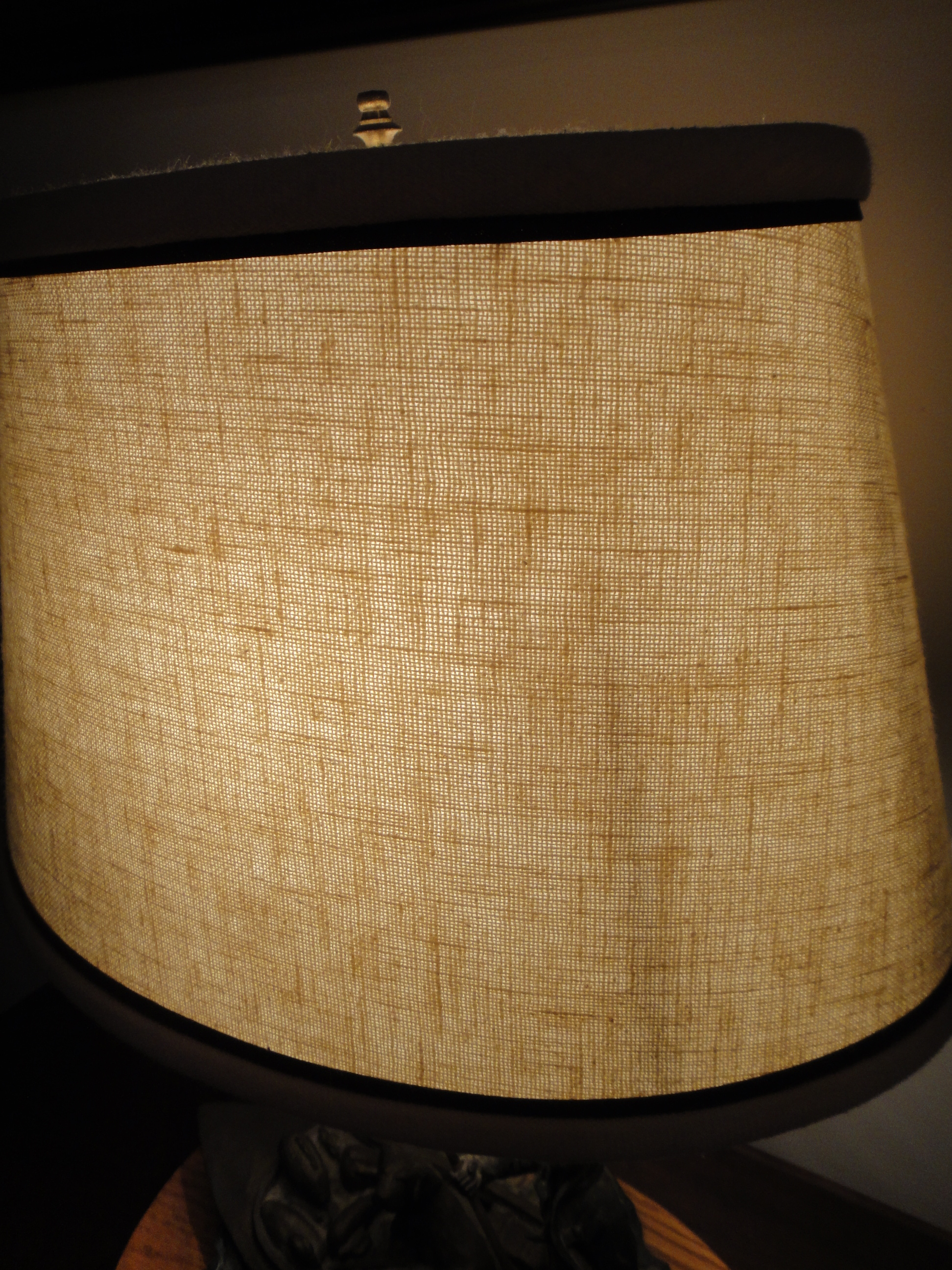 Ducks Unlimited Lamp