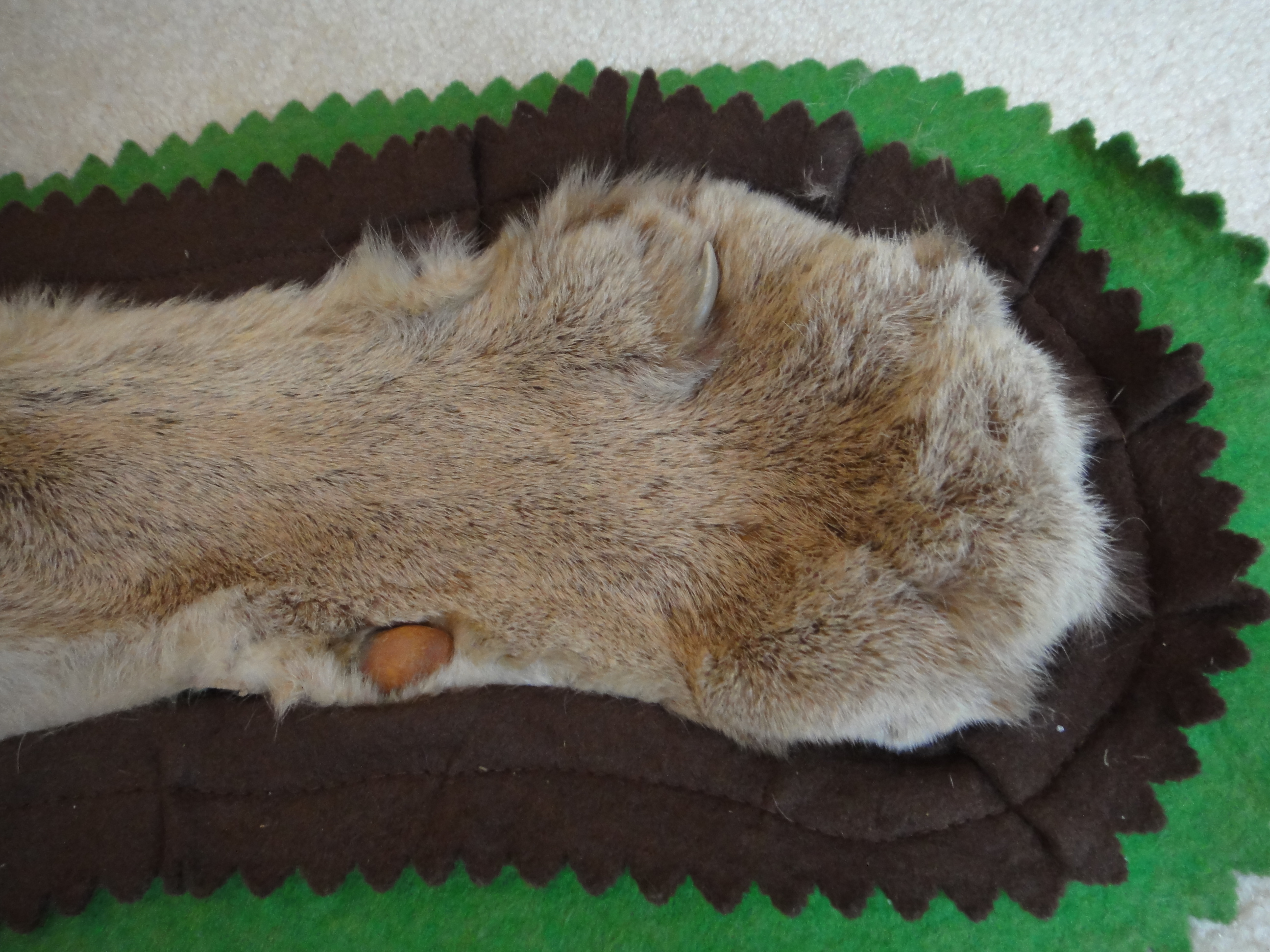 Vintage Mountain Lion Taxidermy Mount Rug