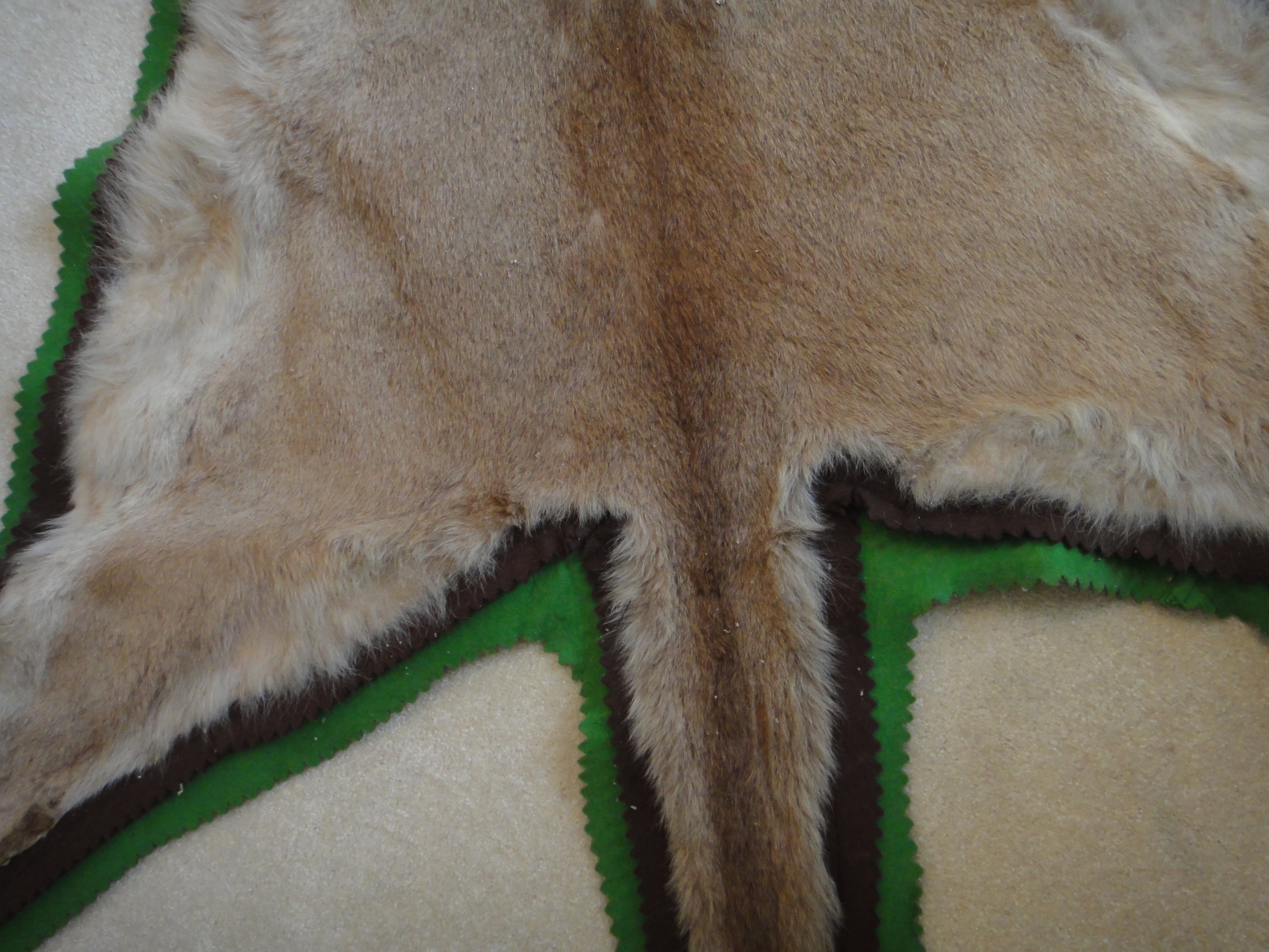 Vintage Mountain Lion Taxidermy Mount Rug