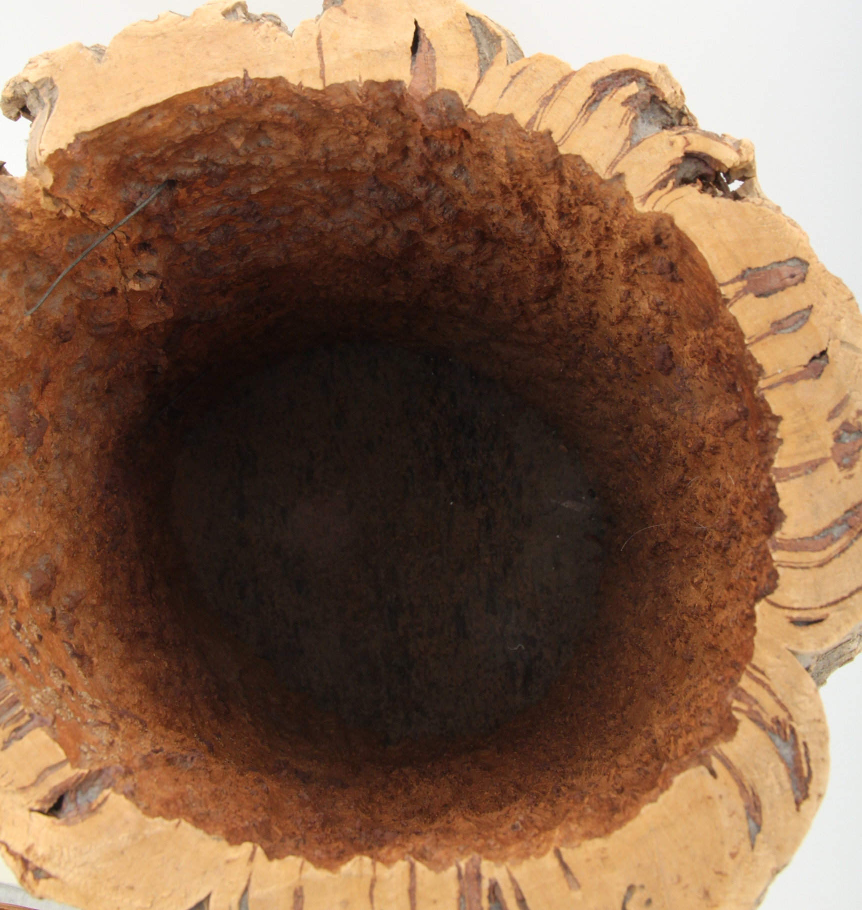 Vintage Italian Cork Umbrella Stand