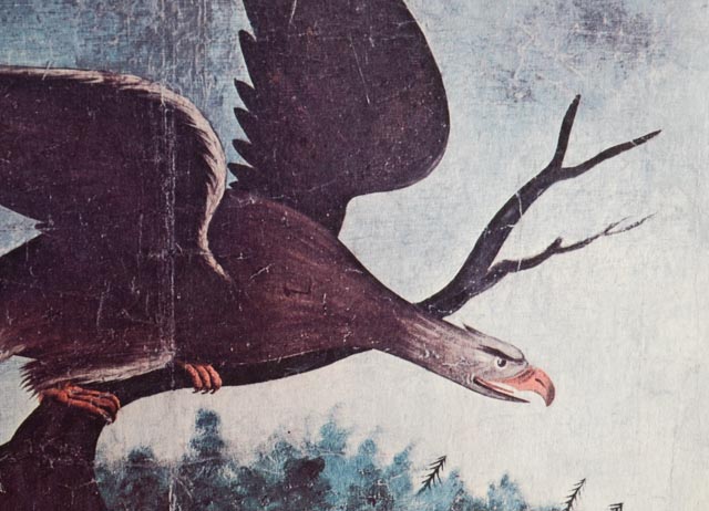 'Whig Political Banner' American Folk Artist T. Kennedy Print