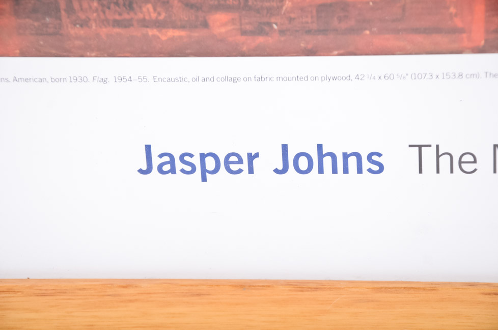 Jasper Johns Framed Print