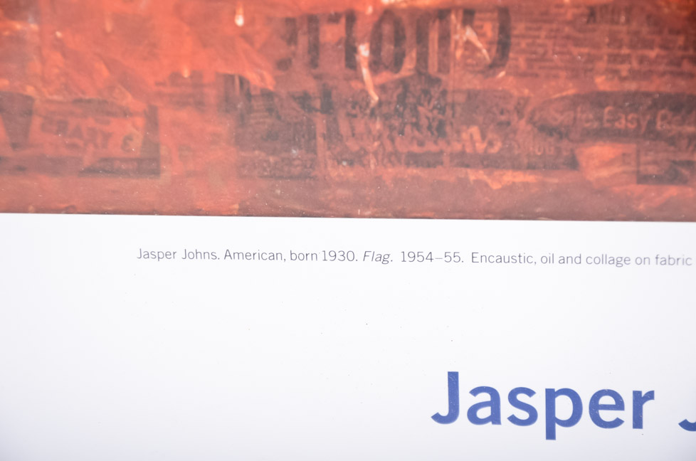 Jasper Johns Framed Print