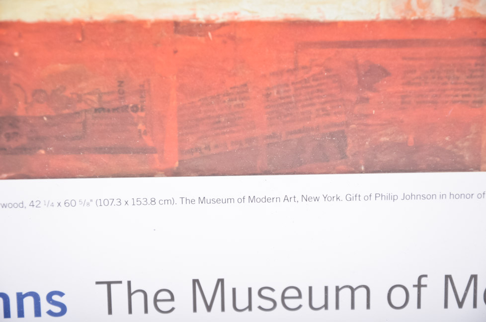 Jasper Johns Framed Print