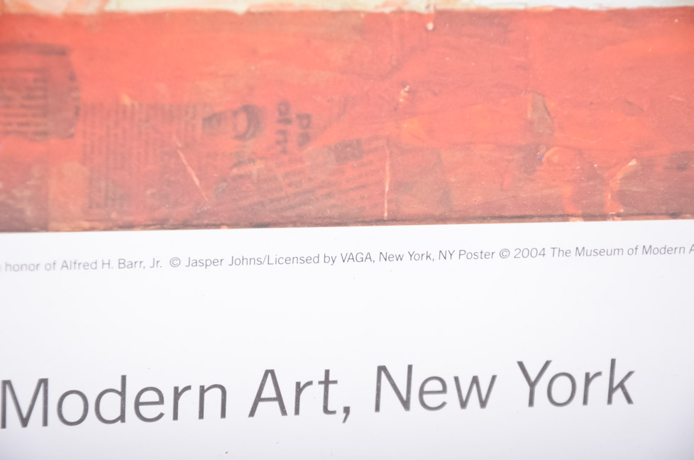 Jasper Johns Framed Print