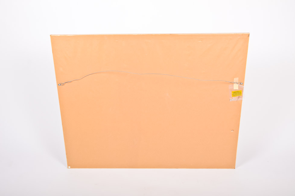 Jasper Johns Framed Print