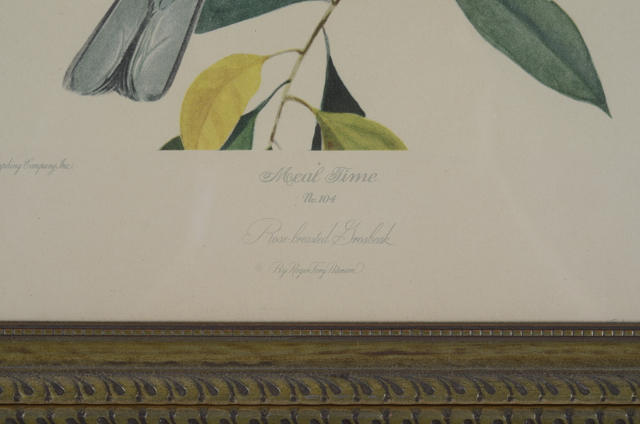 Pair of Vintage Prints by Roger Tory Peterson