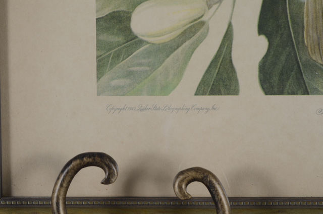 Pair of Vintage Prints by Roger Tory Peterson