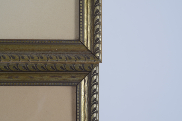 Pair of Vintage Prints by Roger Tory Peterson