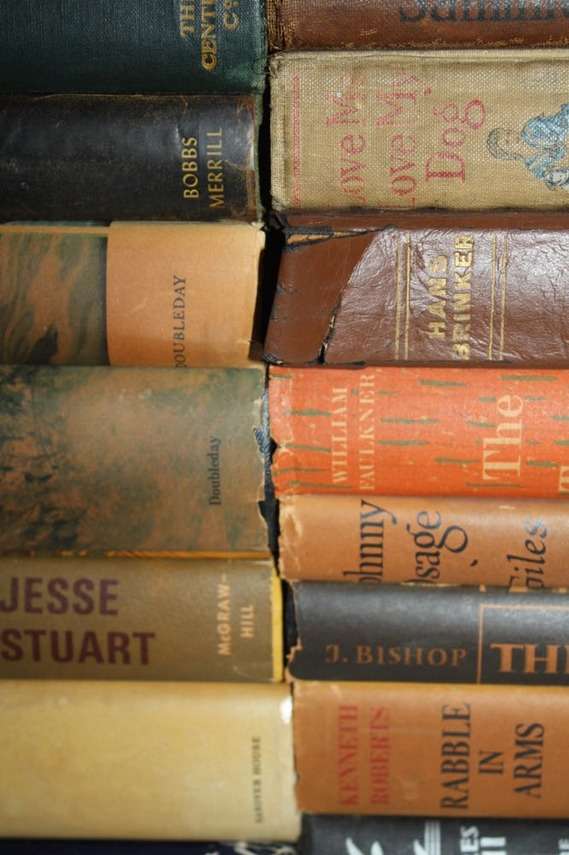 Collection of Colorful Vintage Books