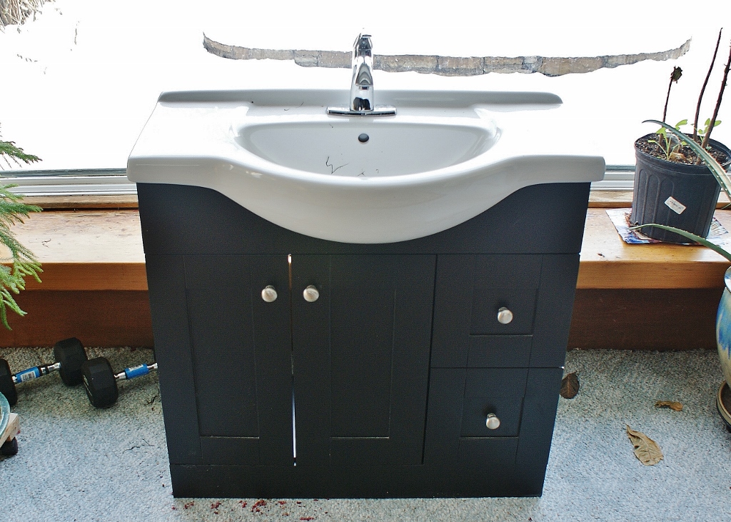 Pfister Unused Sink and Faucet with Vanity