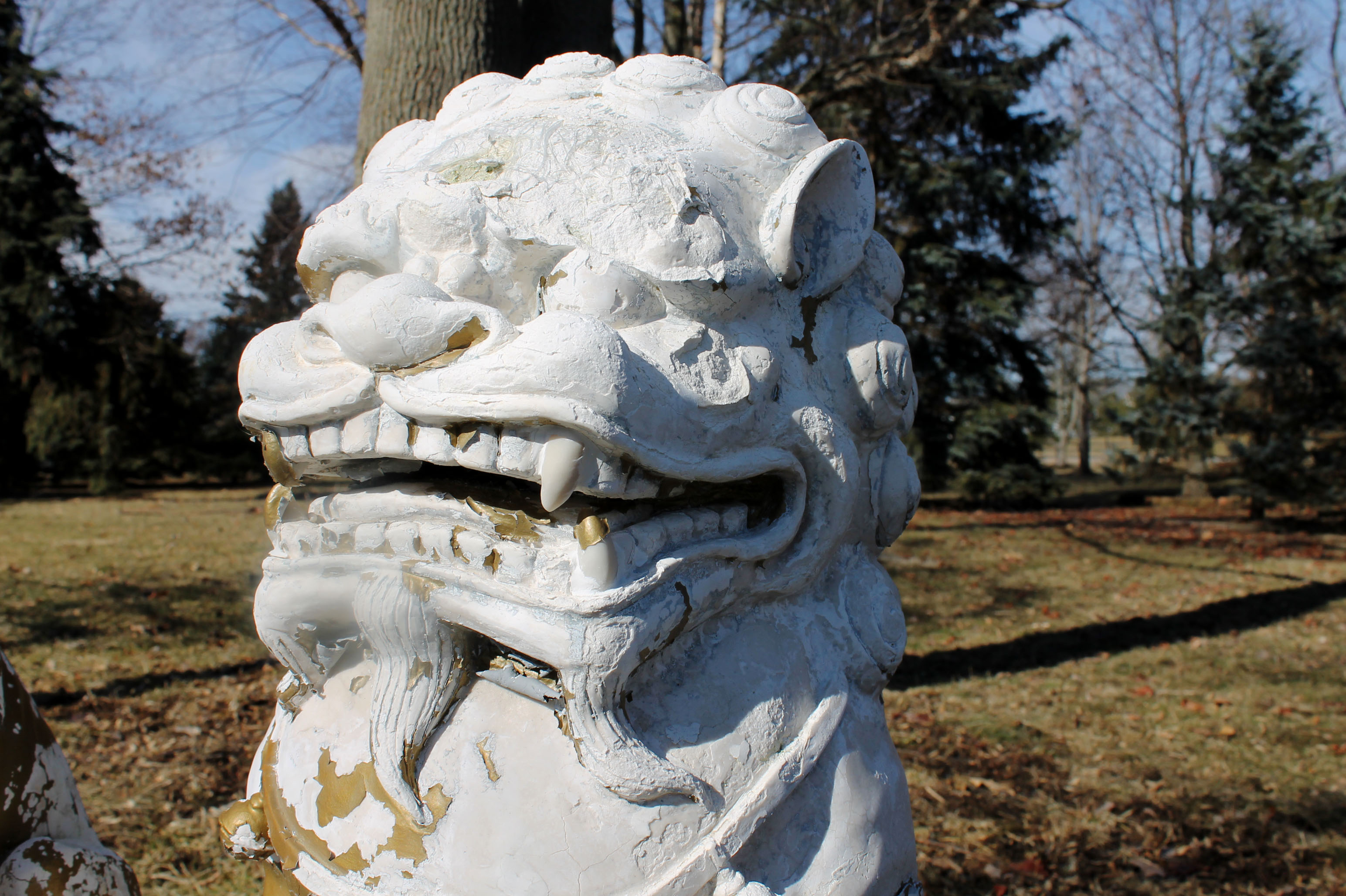 A Pair of Chinese Foo Dogs